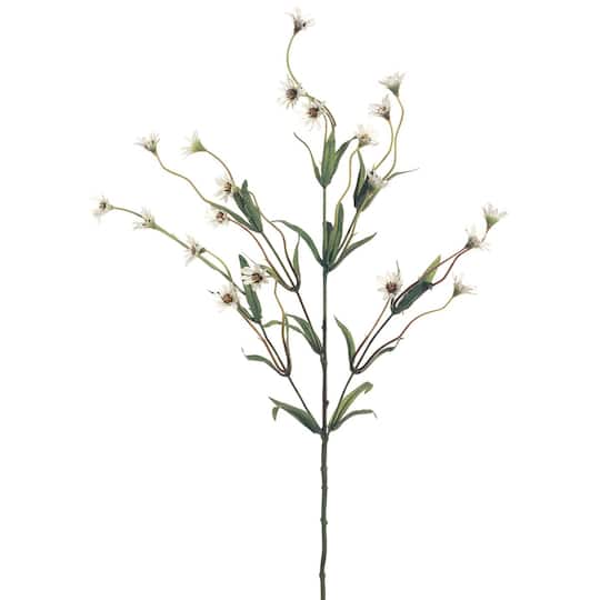 Cream Wild Daisy Spray by Ashland®